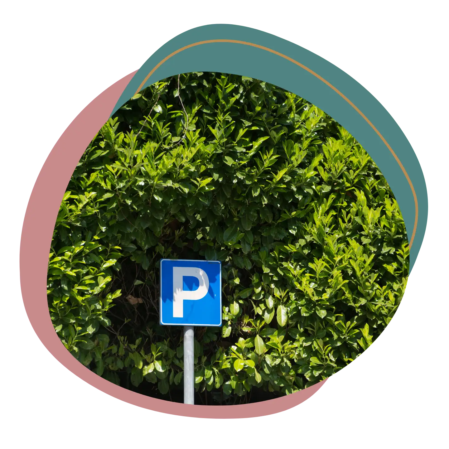 Sugar Mammis Parkplätze